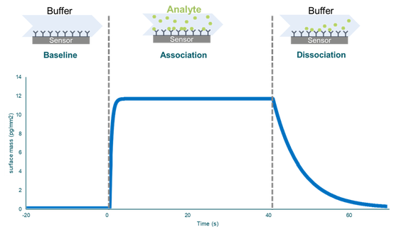 結合定数 概要 Malvern Panalytical